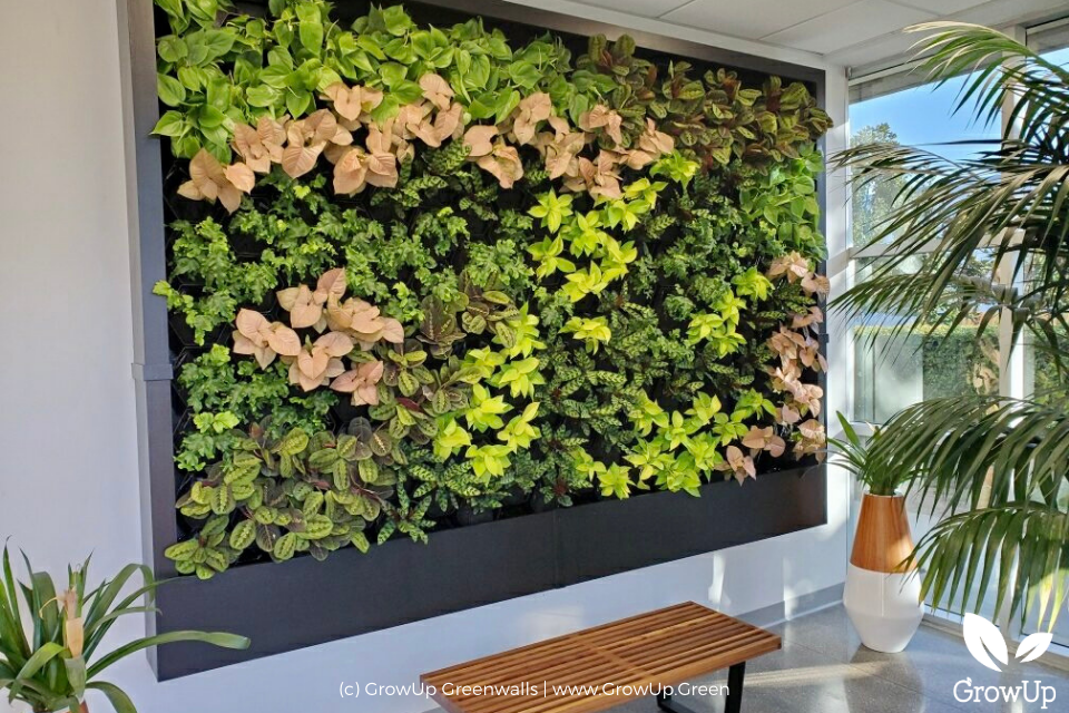 GrowUp Greenwalls | Gallery