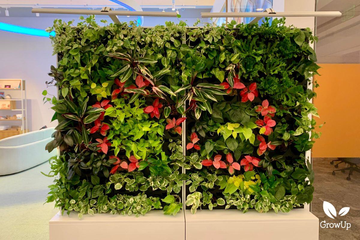 Prebuilt Living Wall