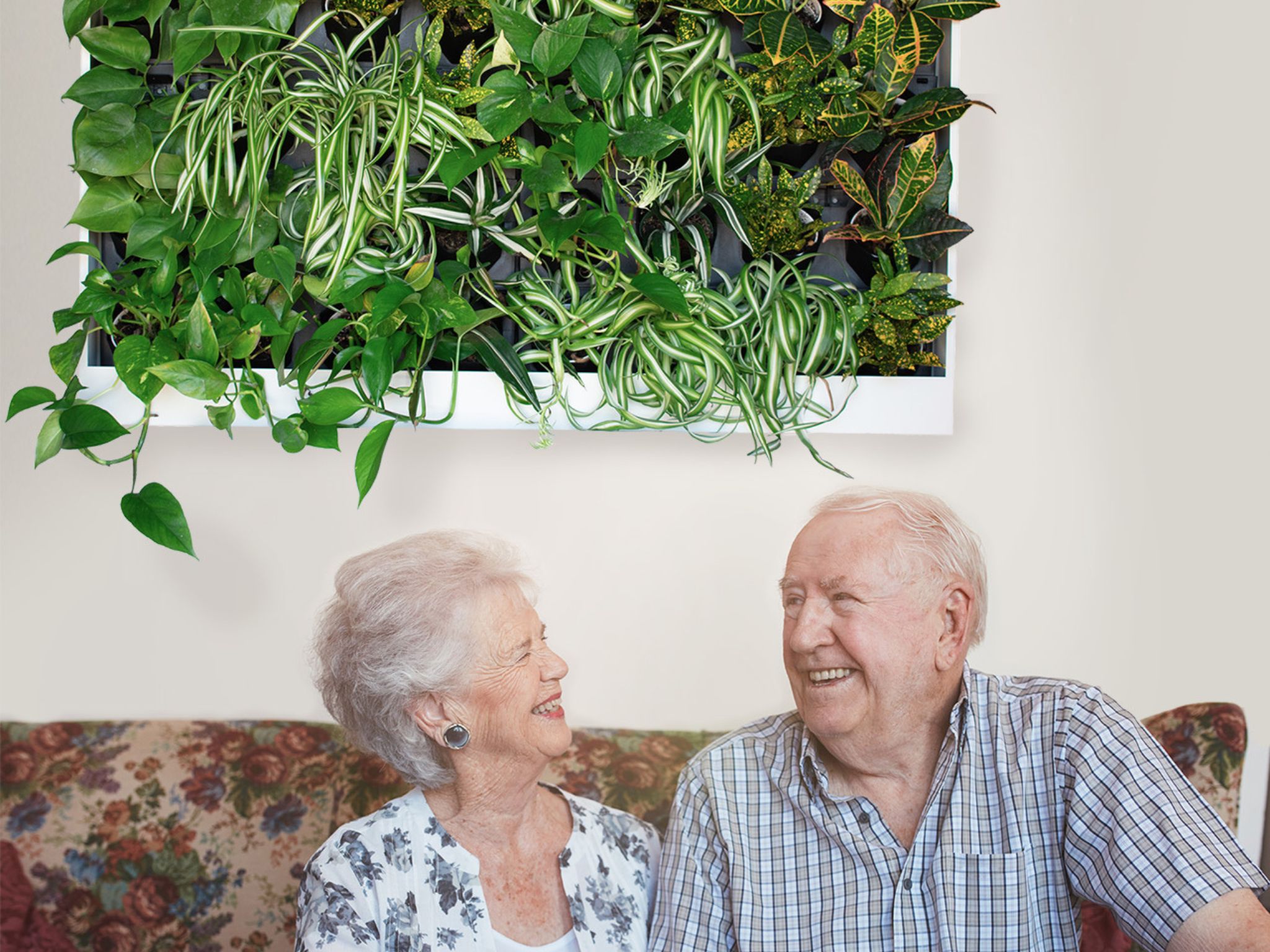 Old Couple sitting on couch in front of living plant wall