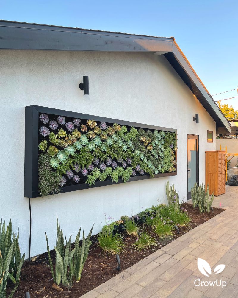 residential succulent wall